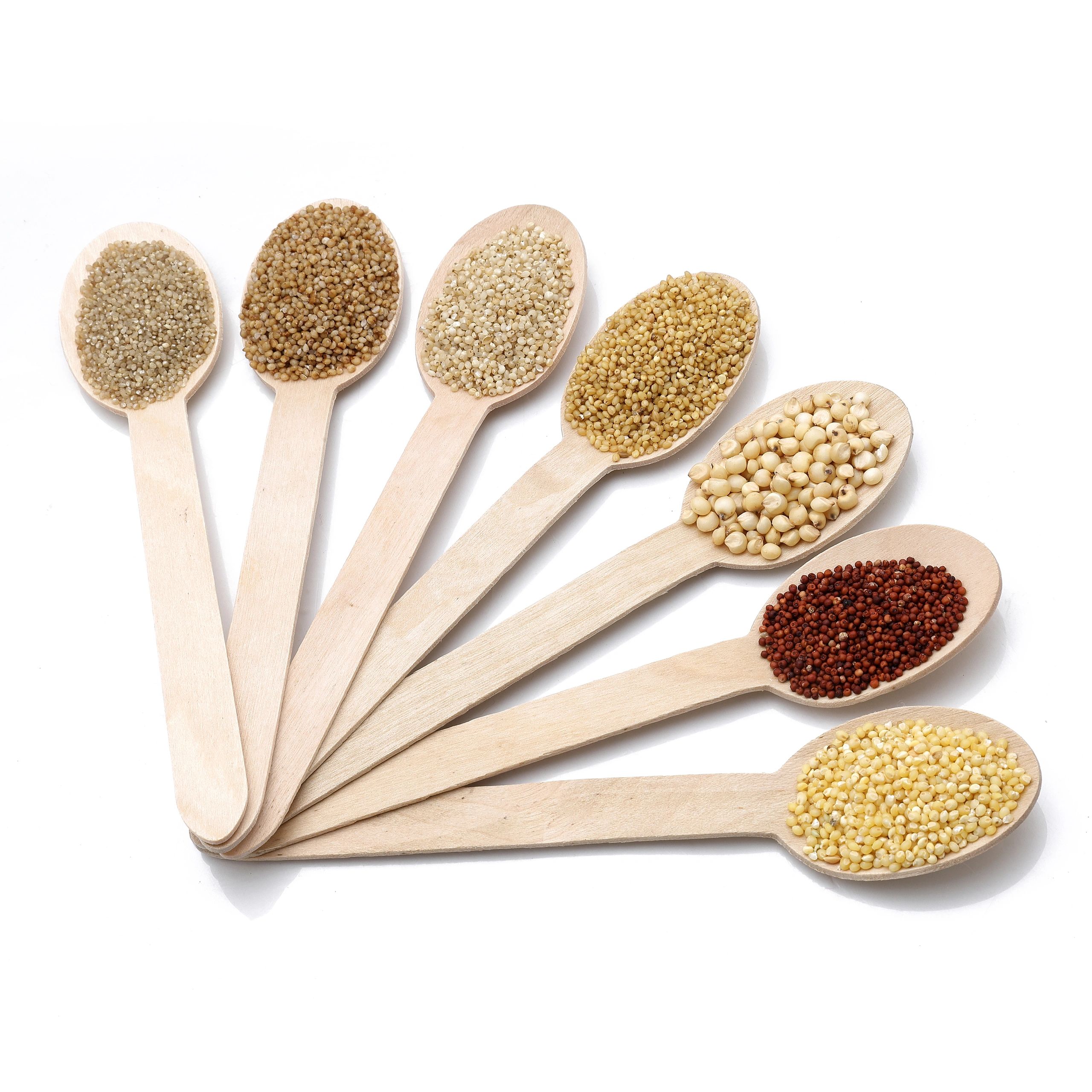 Natural grains and seeds arranged in spoons
