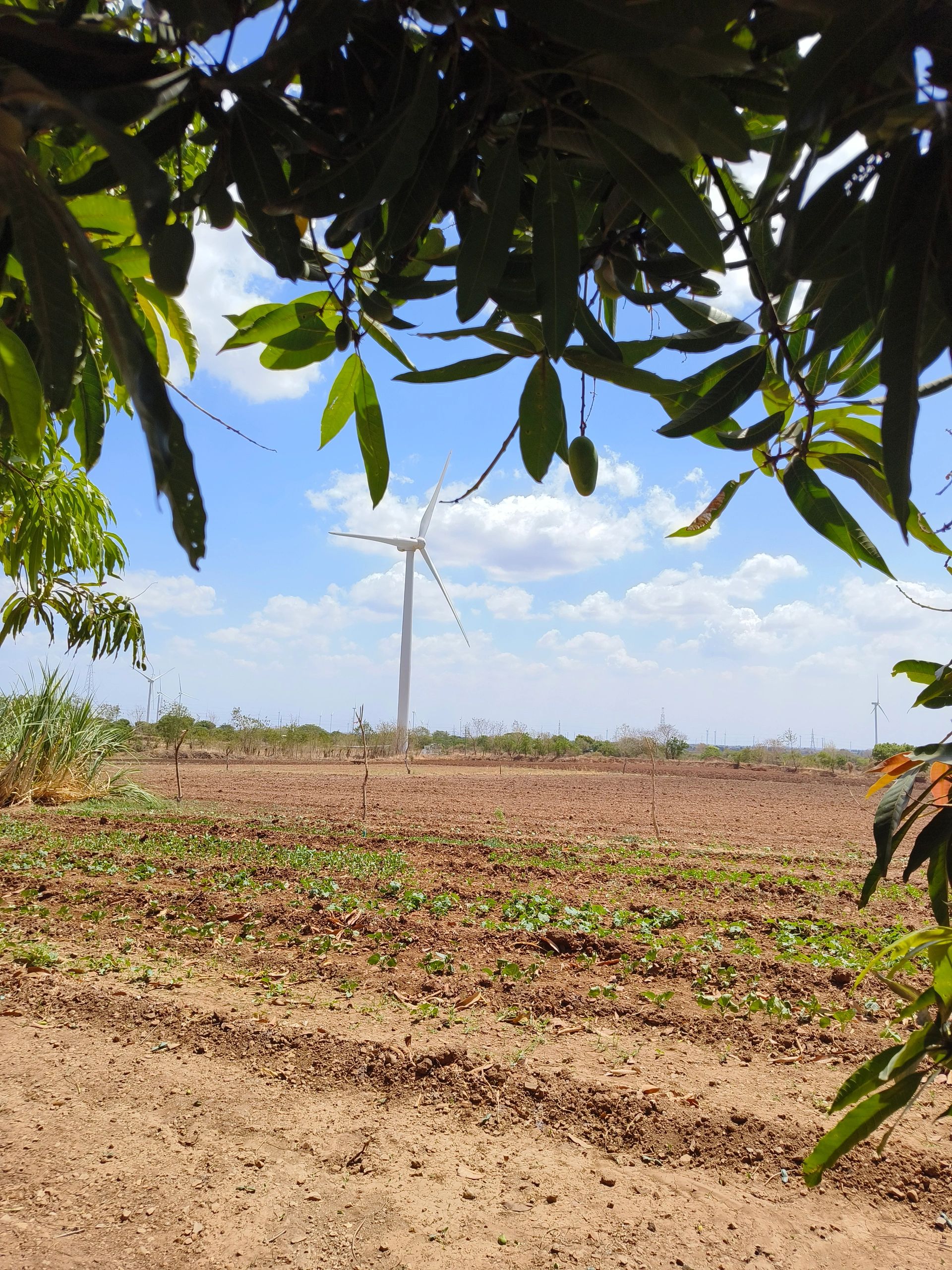Farmland landscape representing sustainable supply capability